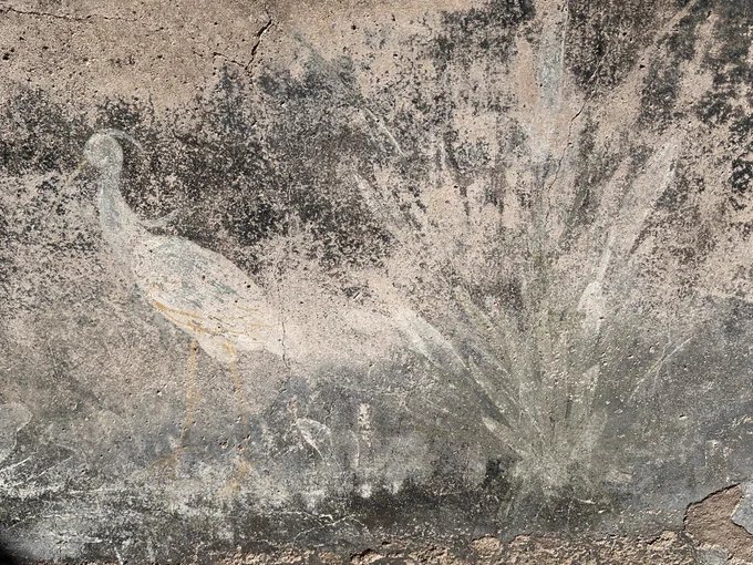 A heron type bird strutting off to the left and on the right the faded foliage of a bush