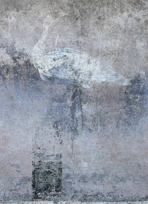 A heron (?) standing behind some very faded green foliage
