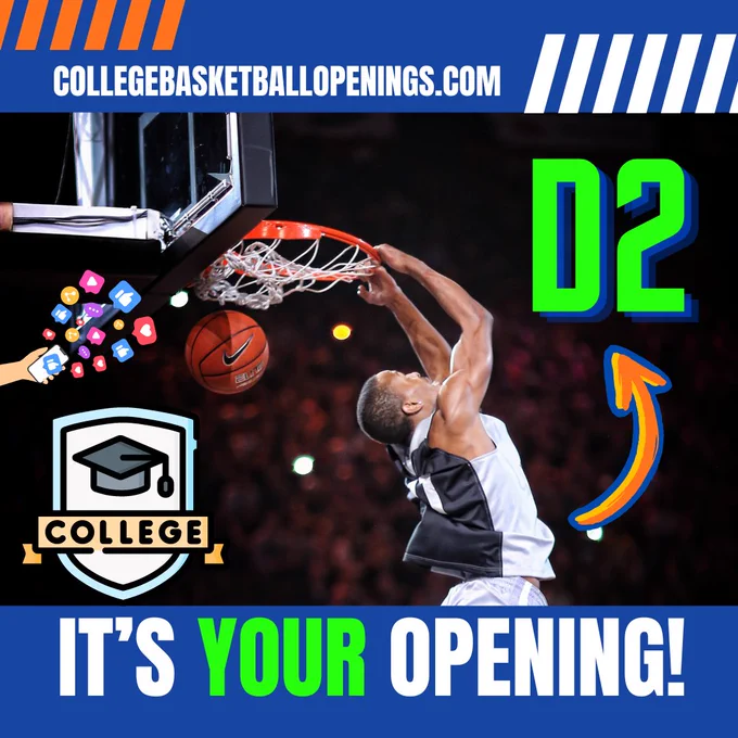 NCAA D2 Looking for Impact Forward & Combo Guard! 2024