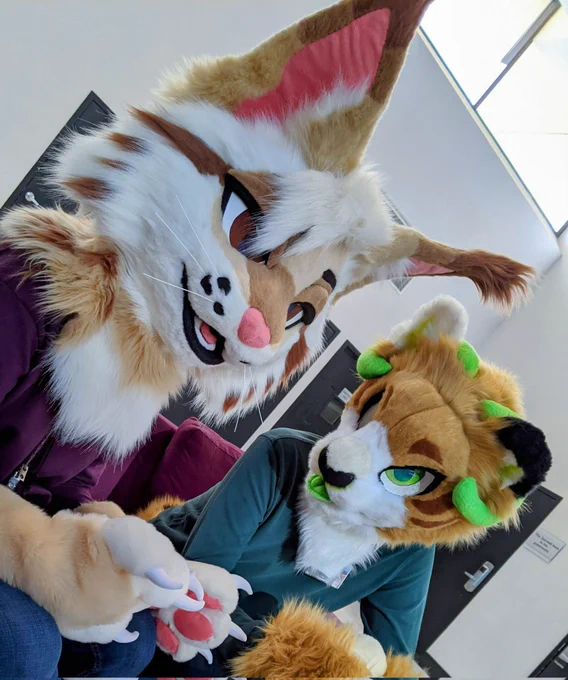 Fursuits made by @AlphaLyncis & LitchFursuits