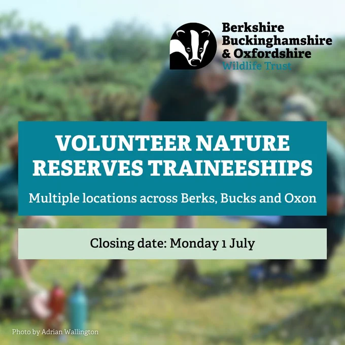 A group of reserves trainees gathered on the grass. Text reads: Volunteer Nature Reserves Traineeships, multiple locations across Berks, Bucks and Oxon. Closing date: Monday 1 July