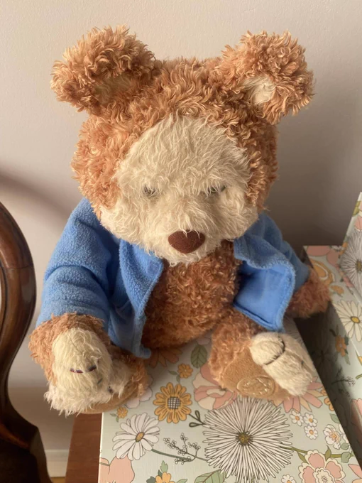 Teddy bear with a blue coat 