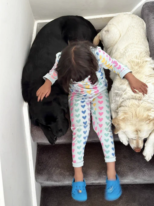 Taken from above we see Amit’s young daughter sat on the landing step of the stairs. Dressed in blue pyjamas with colourful hearts all over them, she has one arm snuggling a sleeping Kika on her left and another arm snuggling a sleeping Quark on her right.