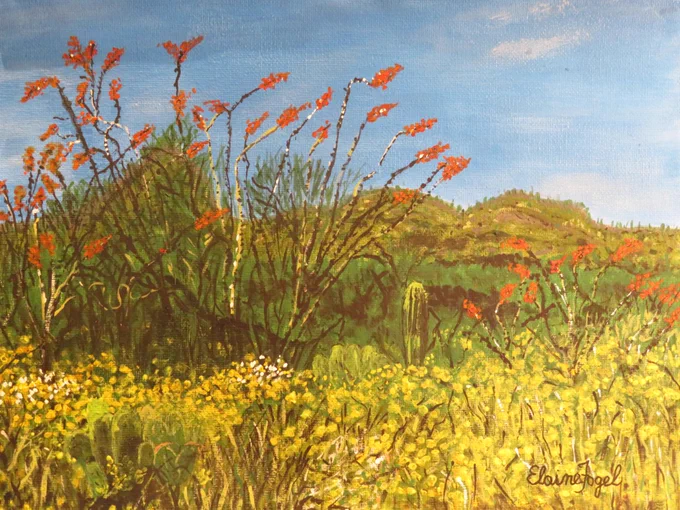 'Ocotillos' by Elaine Fogel