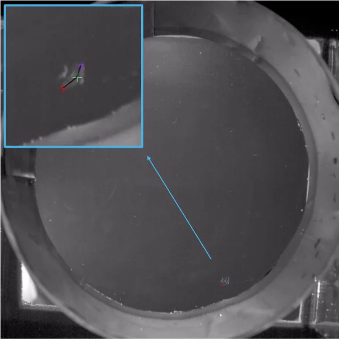 A black and white image of a circular arena with a small tomopteris worm in the bottom right corner. That part of the image is blown up in the top left corner, with a blue arrow connecting the two. There are three virtual crosses on the worm (red, green, and purple) connected with a black line.