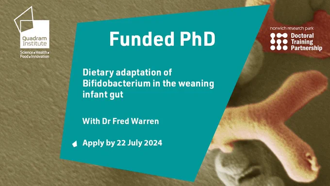 A social card with an microscopy image of Bifidiobacterium and the text "Funded PhD, Dietary adaptation of Bifidiobacterium in the weaning infant gut with Dr Fred Warren. Apply by 22 July 2024" Also featuring the Quadram Institute and NRPDTP logo.
