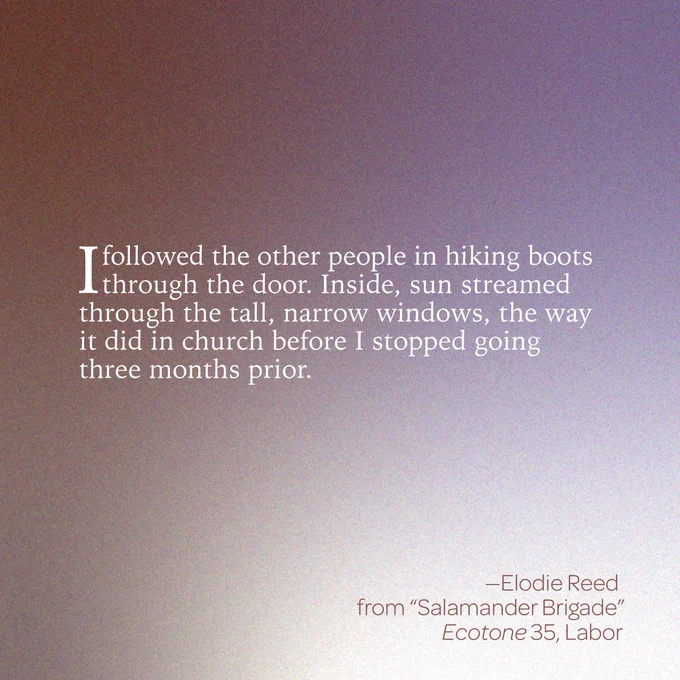 “I followed the other people in hiking boots through the door. Inside, sun streamed through the tall, narrow windows, the way it did in church before I stopped going three months prior.” 

-- Elodie Reed 
From “Salamander Brigade” 
Ecotone 35, Labor 