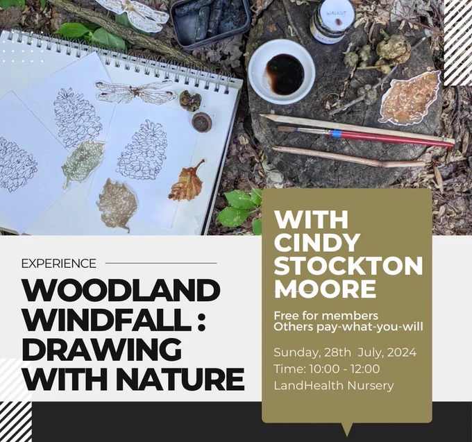 Experience Woodland Windfall: Drawing with Nature with Cindy Stockton Moore on Sunday, July 28th from 10am to 12pm at LandHealth's Nursery. Free for members and pay-what-you-will for others.