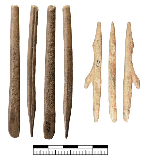 Organische Projektile aus der Vogelherdhöhle: Links abgebrochene Spitze mit doppelt abgeschrägter Basis, rechts Widerhakenspitze. Foto: B. Schürch