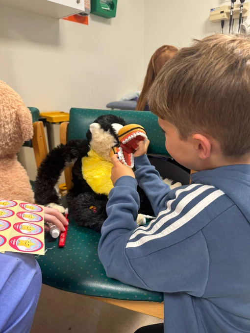 
A child plays with a set of novelty teeth on a teddy bear