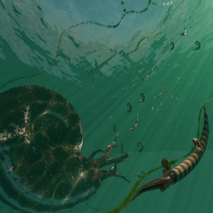 Ammonites basking under the Late Cretaceous sun. Artwork by Callum Pursall (@cpursall on X).
