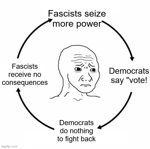 Fascists seize more power, then democrats say vote, then democrats do nothing to fight back, then fascists get no consequences, and back to step 1