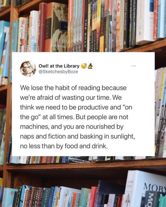 The image is a meme. It shows a message from @sketchesbyboze on Twitter which says: "We lose the habit of reading because we're afraid of wasting our time. We think we need to be productive and 'on the go' at all times. But people are not machines, and you are nourished by naps and fiction and basking in sunlight no less than by food and drink."