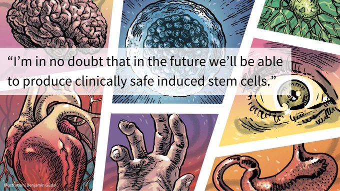 The image features a series of seven illustrated panels depicting various biological concepts: a brain, a cell, blood vessels, the stomach, a heart, a human hand, and an eye. Each panel has a distinct colorful background and graphic style. Text: "I'm in no doubt that in the future we'll be able to produce clinically safe induced stem cells."