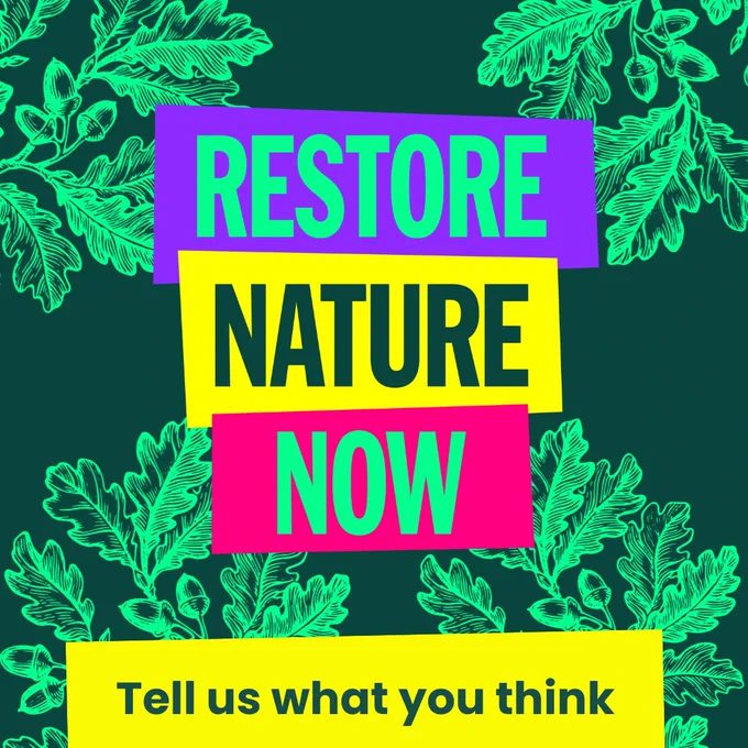 Sketches of leaves on a dark green background. Text reads "Restore Nature Now, tell us what you think"