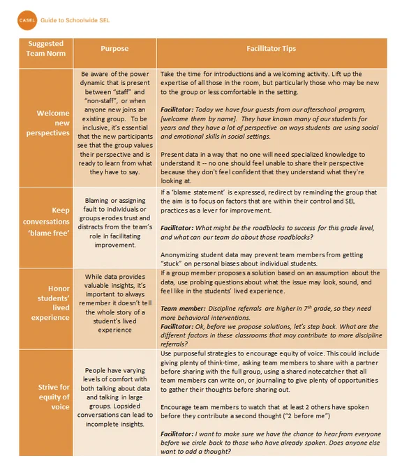 Screenshot from the linked resource, suggesting team norms for data-informed conversations that respect the people represented by the data.