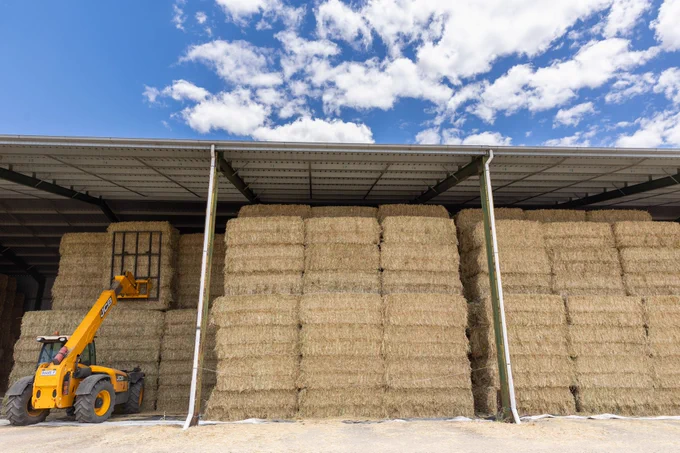 A telescopic handler places hay bales in a large, open-sided storage shed under a clear sky.