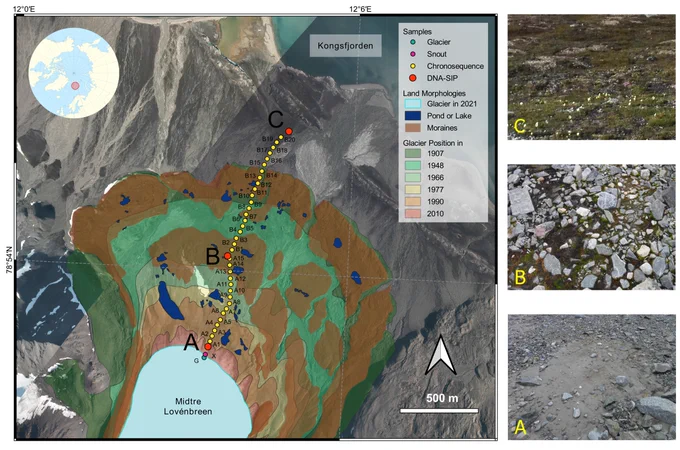 Trejos-Espeleta et al, 2024. PNAS.
Midtre Lovénbreen glacier forefield, Svalbard.