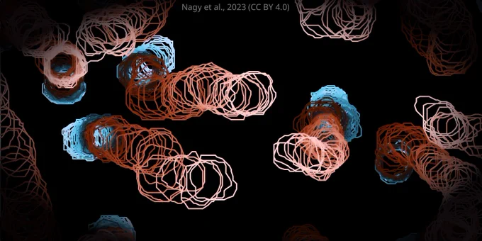 wiggling spiral pathways on a black background