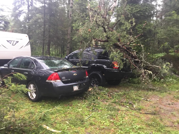 Two black vehicles and a camper. A tree down across top of SUV.