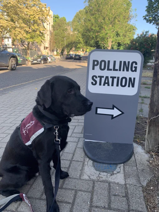 Hearing Dog (a black Labrador) in a maroon Hearing Dogs jacket standing beside a sign with the words ‘Polling Station’