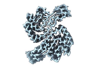 https://www.ebi.ac.uk/emdb/EMD-19986