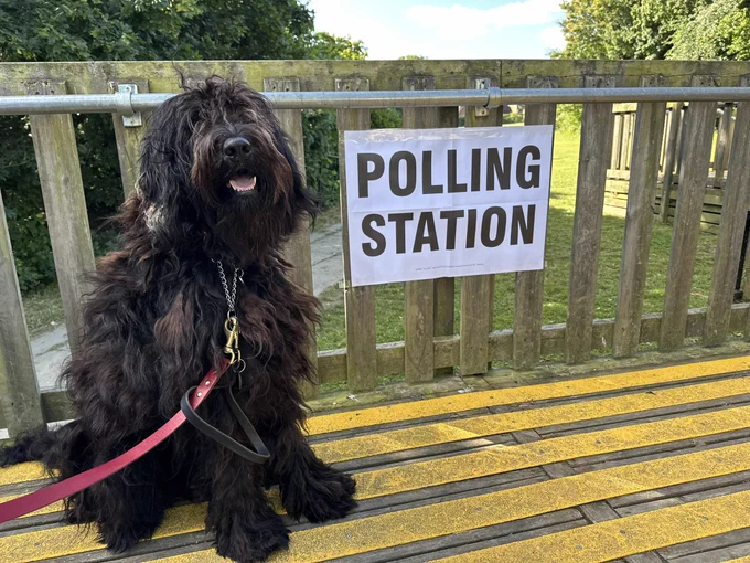 Doug is a large and very shaggy black dog. He looks like he is smiling! He is wearing a red lead. He is sat by a sign that says ‘Polling Station’