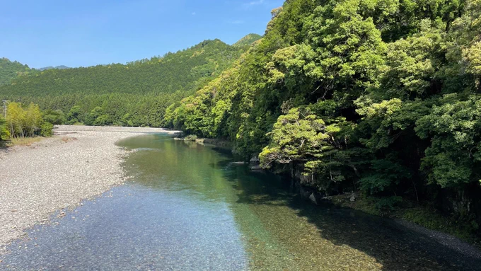 A gravel bed river with some trees overhanging 