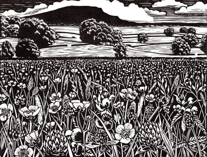 Black and white linocut featuring a Yorkshire meadow, by artist Hester Cox
