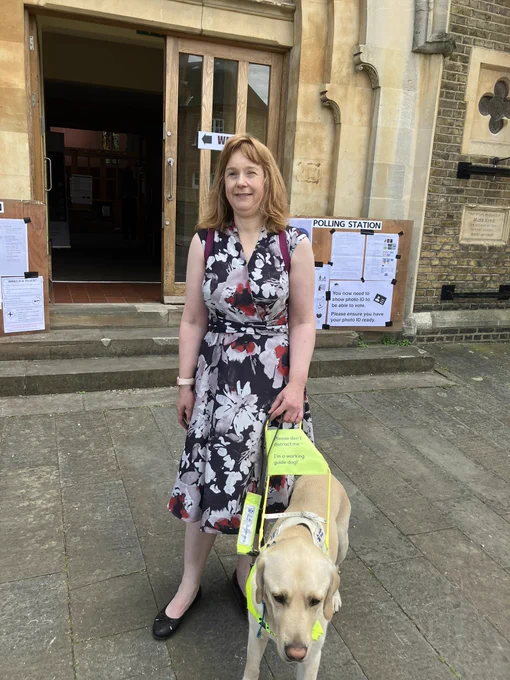 Guide dog auto, a large blonde Labrador golden retriever is standing proudly in his guide dog harness outside a polling station.
