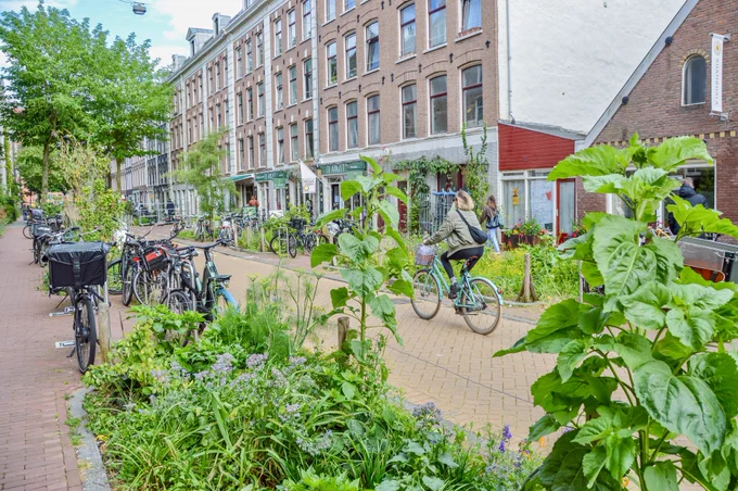 People walk and cycle through Amsterdam’s De Pijp neighborhood. Rather than cars in the on-street parking spaces, they are filled with trees, terraces, benches, playgrounds, and parked bikes.