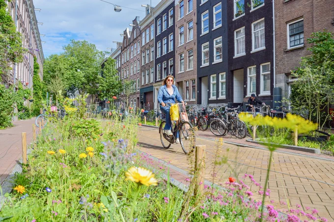 People walk and cycle through Amsterdam’s De Pijp neighborhood. Rather than cars in the on-street parking spaces, they are filled with trees, terraces, benches, playgrounds, and parked bikes.