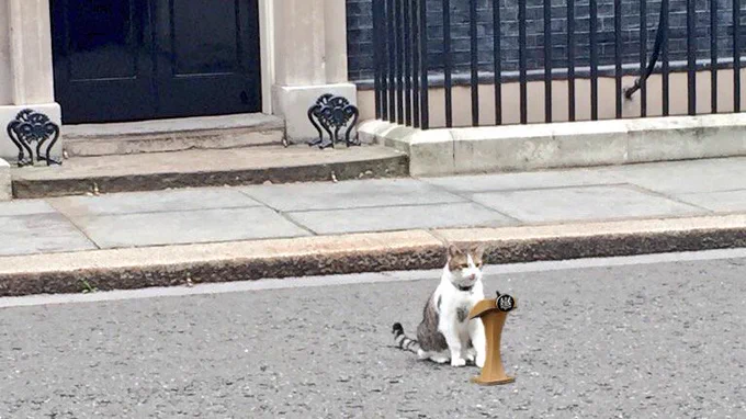 Larry at podium on Downing Street