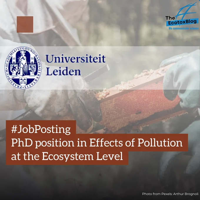 The Ecotox Blog
Background image: two pairs of hands wearing bee protection equipment and holding a honey comb.
University of Leiden logo
#JobPosting: PhD position in effects of pollution at the ecosystem level