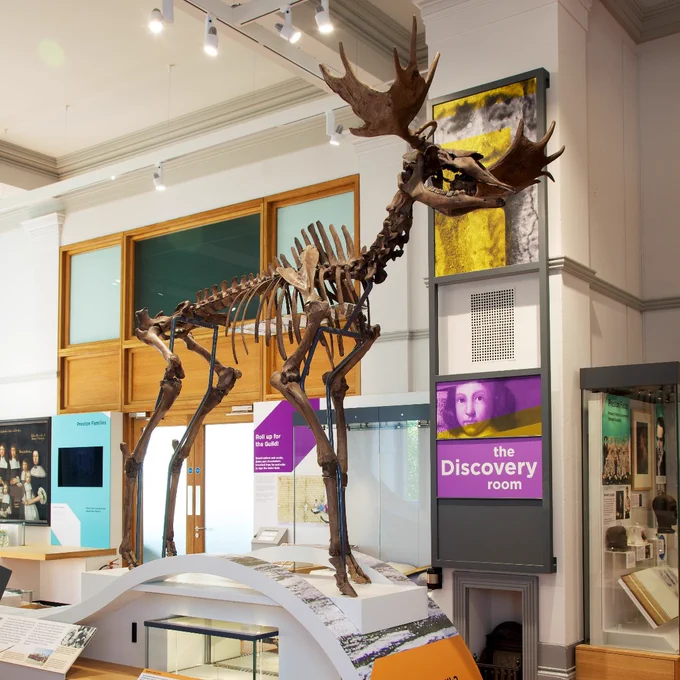 A photograph of Horace the Elk in the Discover Preston Gallery.