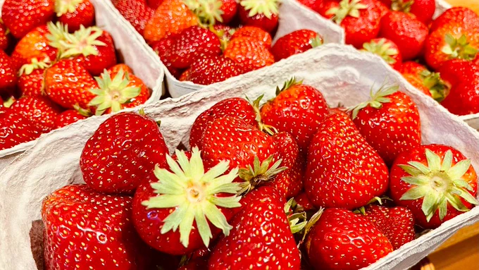 Mehrere typische Erdbeerschalen aus grauer Pappe mit frischen, roten Erdbeeren. 
