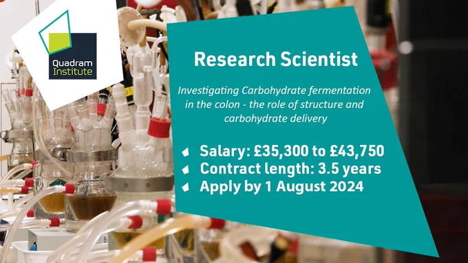 A photo of a model colon with the text "Research Scientist, Investigating Carbohydrate fermentation in the colon - the role of structure and carbohydrate delivery. Salary: £35,300 to £43,750, Contract length: 3.5 years, Apply by 1 August 2024"