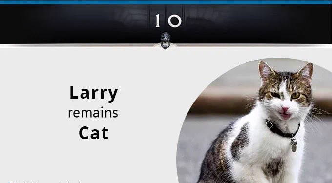 Larry remains cat