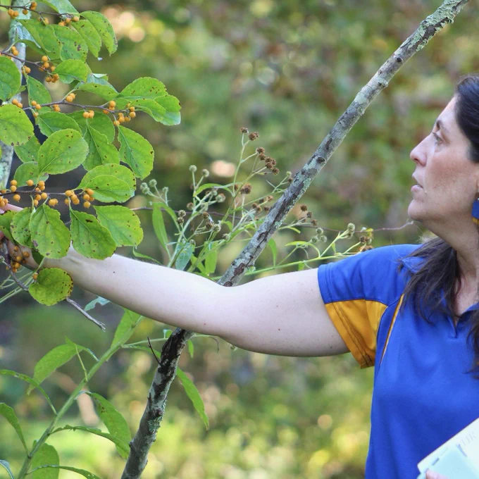 Alumna Holly Chenoweth '00 identifying plant.