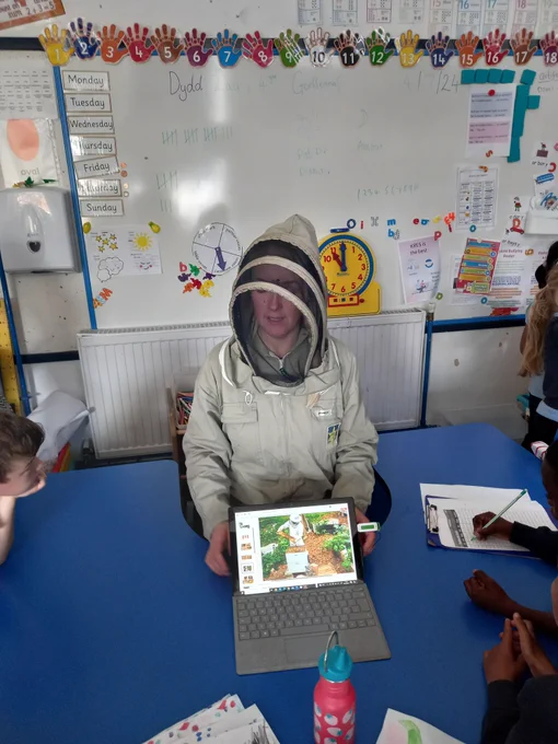 children are looking at photos of bees.