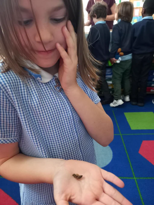 We held dead bees, they couldn't harm us.