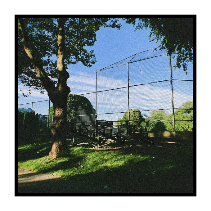 Bleachers of a baseball field bathed in dappled sunlight.