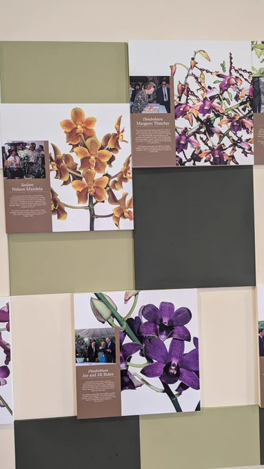 Pictures of orchid varieties made for Margaret Thatcher, Nelson Mandela, and Joe and Jill Biden