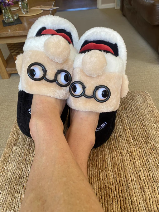 A pair of “Freudian slippers”.