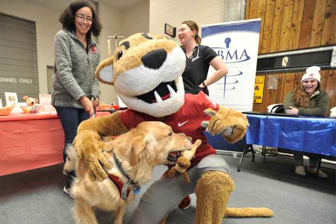 Our top-ranked @WSUvetmed's Veterinary Teaching Hospital (VTH) is #HIRING! 
🏥Veterinary Tech. - VTH (https://wsu.wd5.myworkdayjobs.com/en-US/WSU_Jobs/job/Veterinary-Technician-Veterinary-Teaching-Hospital_R-10709)
🐎Veterinary Tech. Assistant/ Animal Tech. 3 (https://wsu.wd5.myworkdayjobs.com/en-US/WSU_Jobs/job/Veterinary-Technician-Assistant-Animal-Technician-3_R-10686)
❤️‍🩹Animal Tech. 3 - Small Animal Facilities Care, VTH (https://wsu.wd5.myworkdayjobs.com/en-US/WSU_Jobs/job/Animal-Tech-3-Small-Animal-Facilities-Care-Veterinary-Teaching-Hospital_R-12014) 