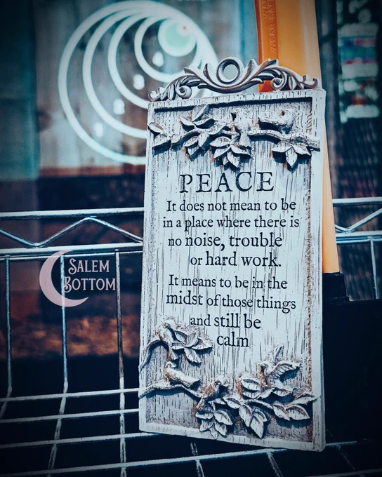 A rectangular wall art sign that says: PEACE 💙 It does not mean to be in a place where there is no noise, trouble, or hard work.   It means to be in the midst of those things and still be calm.
