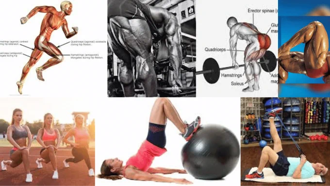 Discover the ultimate leg exercise that strikes a perfect balance between quads and hamstrings, sculpting your lower body with precision. Unleash the power of symmetrical muscle development! 
https://www.fitmagicalquest.com/2024/05/26/worlds-best-effective-we
Unlock the secret to balanced leg development with an exercise that targets both quads and hamstrings in harmony. Discover the key movement that engages these muscle groups equally, allowing you to sculpt strong, symmetrical legs. By incorporating this compound exercise into your routine, you can efficiently work on building strength and muscle definition in both the front and back of your thighs. Say goodbye to muscle imbalances and hello to a well-rounded leg workout that maximizes gains and boosts your overall lower body strength. Elevate your leg day game with this versatile exercise and witness the transformative power it brings to your fitness journey. Strengthen, tone, and define your quads and hamstrings like never before!