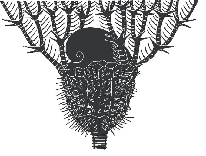 Reconstruction of Devonian crinoid Arthroacantha with attached (coprophagous) Platyceras gastropod, from Predators and Predation in Palaeozoic Marine Environments