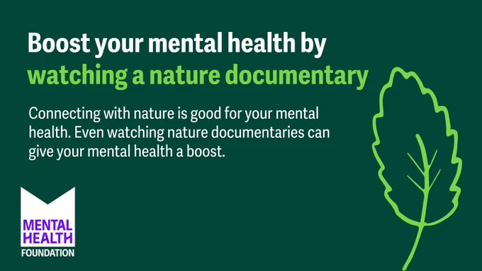 Graphic with text: Boost your mental health by watching a nature documentary

Connecting with nature is good for your mental health. Even watching nature documentaries can give your mental health a boost.