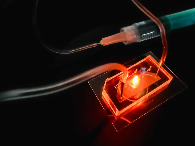 imSAVAR's breast cancer on a chip. Image credit: µOrganoLab 2024.